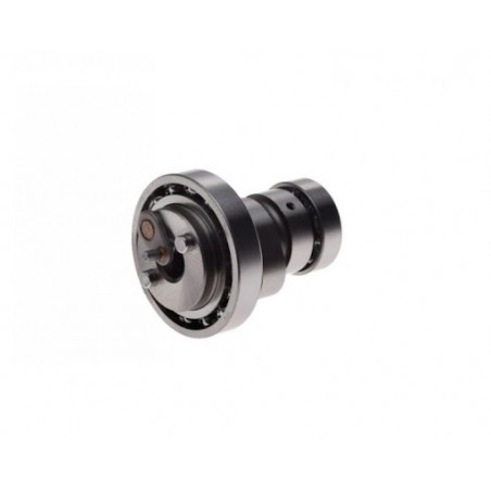 NACHMAN WAŁEK ROZRZĄDU YAMAHA X-MAX/X-CITY 125 '06-'16 ,YZF 125 '08-'16,WR 125X '09-'17,BETA,RIEJU,HM-MOTO,FANTIC 125,SILNIK MIN