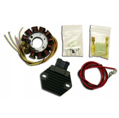 ELECTREX UZWOJENIE ALTERNATORA STATOR KPL. Z REGULATOREM NAPIĘCIA KTM EXC 2T 250 '08-'17 EXC 300 '08-'15, FREERIDE 250 '14, EXC 