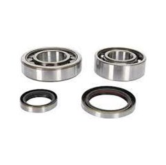 Bearing Worx, ložiska a gufera klikovky, Yamaha YFZ 350 BANSHEE '87-'06 (NTN) (24-1034)
