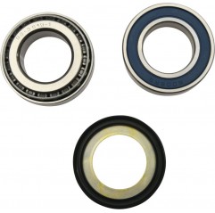 ALL BALLS 2021/12 ŁOŻYSKA GŁÓWKI Z USZCZELNIENIAMI RAMY INDIAN FTR 1200/RALLY '19-'20,