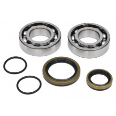 ALL BALLS 2021/12 ŁOŻYSKA WAŁU KORBOWEGO Z USZCZELNIACZAMI BETA RR 2T 250 '13-'22, RR 2T 300 '13-'22, RX 2T 300 '21, XTRAINER 30