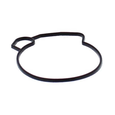 ALL BALLS USZCZELKA KOMORY PŁYWAKOWEJ GAŹNIKA ARCTIC CAT 50 04-05, 90 02-04, CAN-AM DS 50 02-06, DS 90 02-06, POLARIS PREDATOR 9