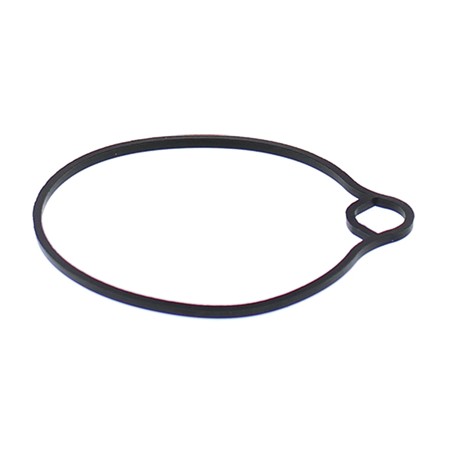 ALL BALLS USZCZELKA KOMORY PŁYWAKOWEJ GAŹNIKA ARCTIC CAT 50 DVX 06-08, 90 DVX 06-18, HONDA CH80 85-07, EZ90 91-96, NH80 83-84, K